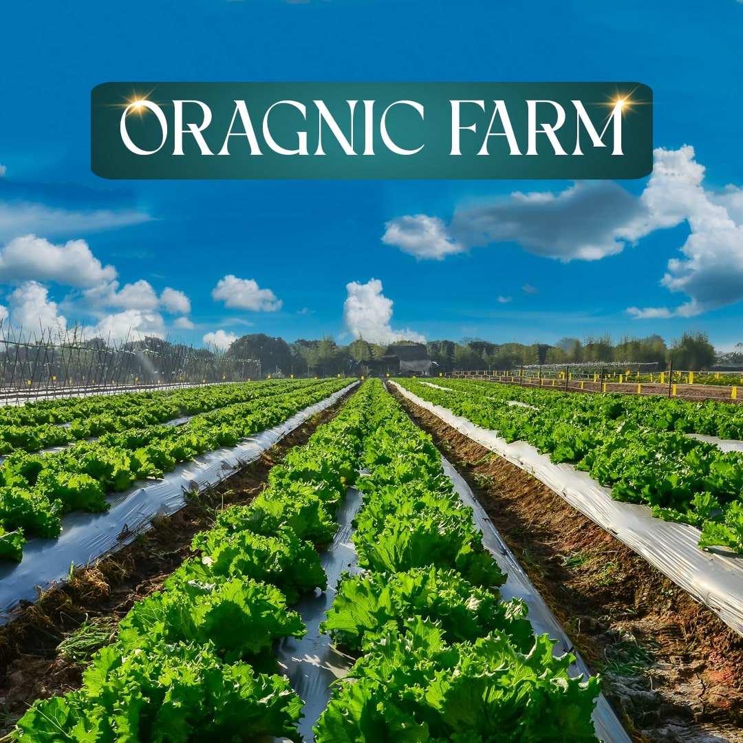 organic farming in overseas block