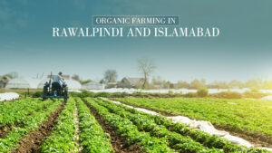 organic farming in Rawalpindi Islamabad