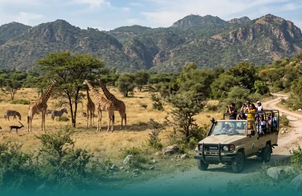 Safari Parks in Rawalpindi-Islamabad